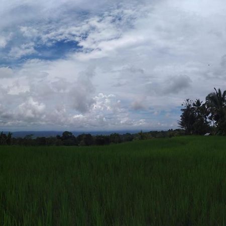 Tegal Jero Homestay Jatiluwih Bagian luar foto