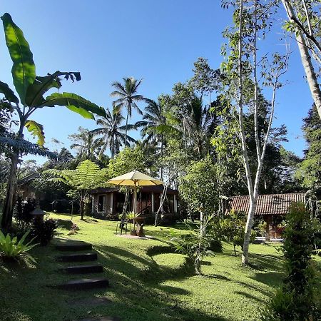 Tegal Jero Homestay Jatiluwih Bagian luar foto