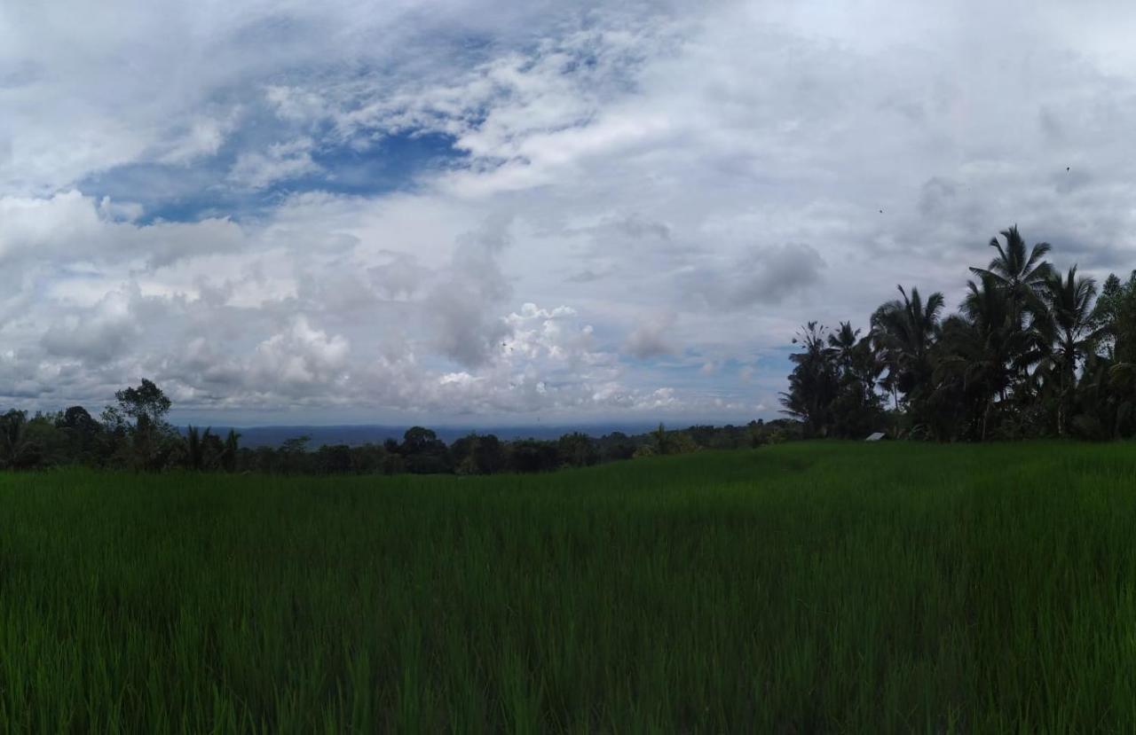 Tegal Jero Homestay Jatiluwih Bagian luar foto
