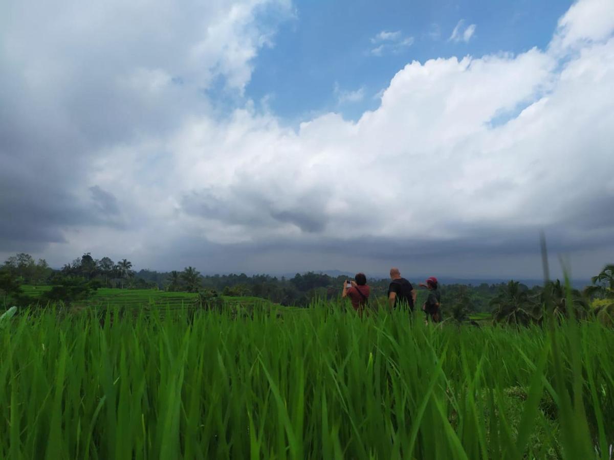 Tegal Jero Homestay Jatiluwih Bagian luar foto