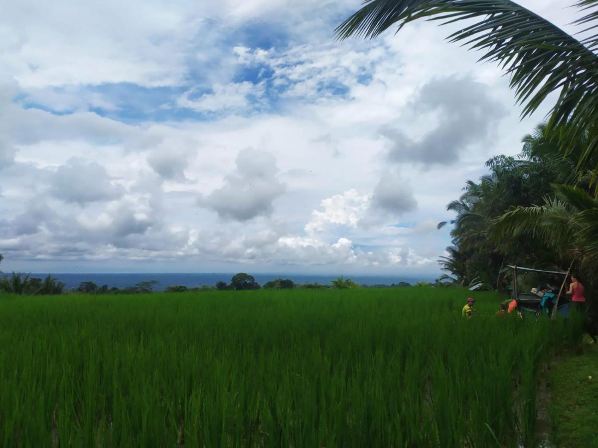 Tegal Jero Homestay Jatiluwih Bagian luar foto