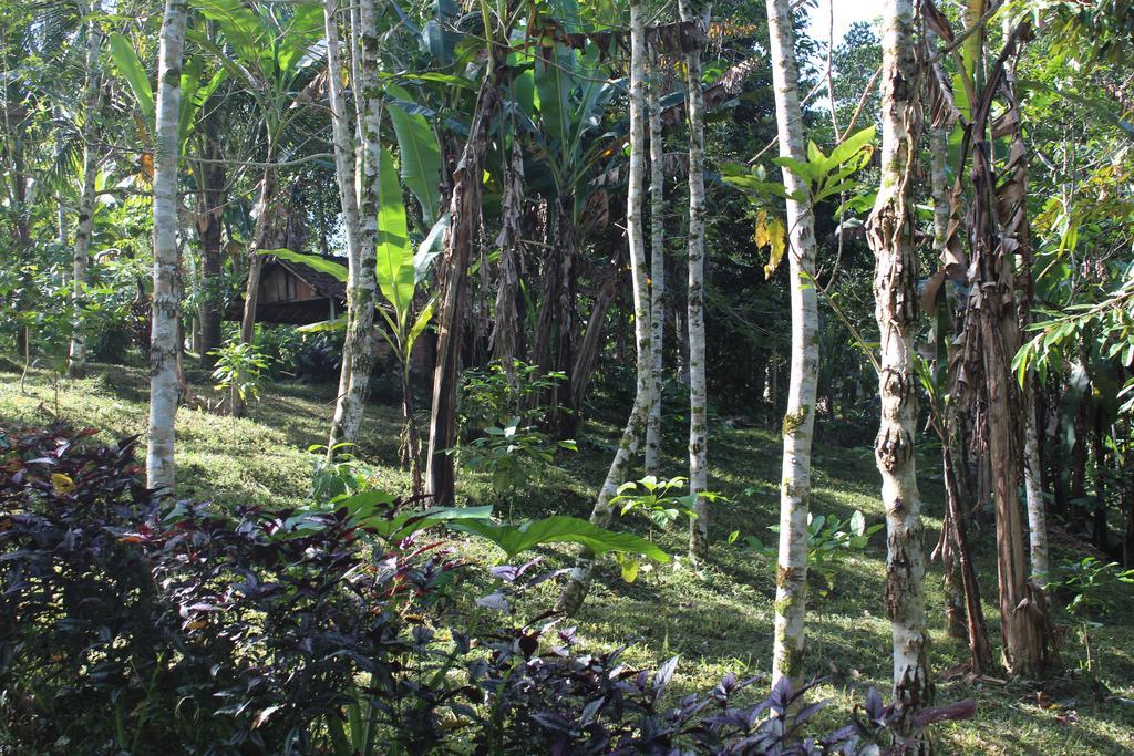 Tegal Jero Homestay Jatiluwih Bagian luar foto