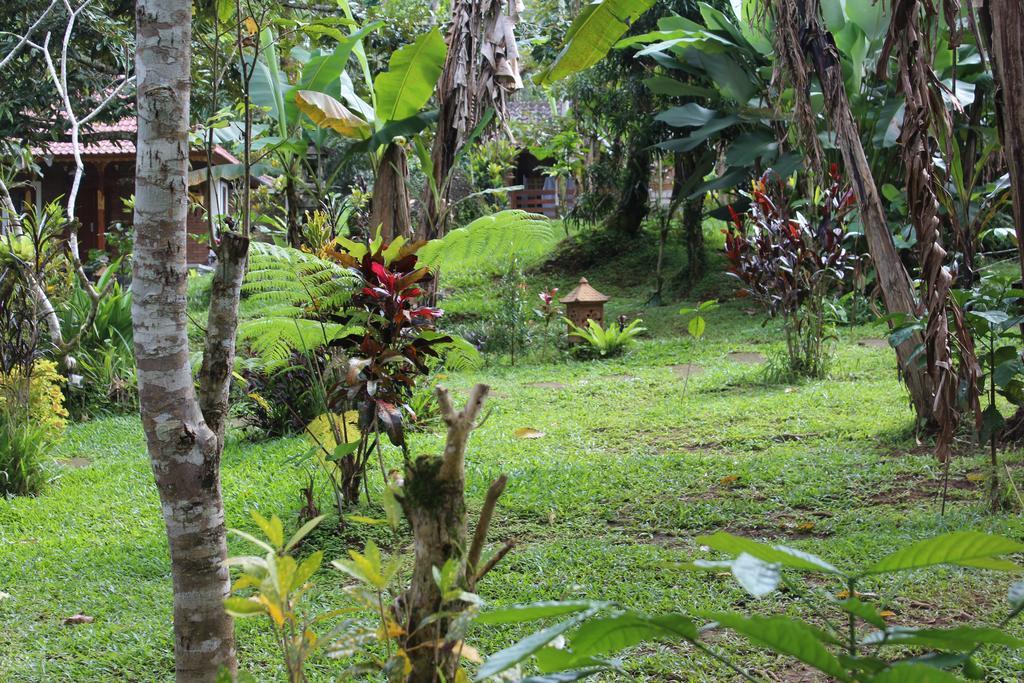 Tegal Jero Homestay Jatiluwih Bagian luar foto