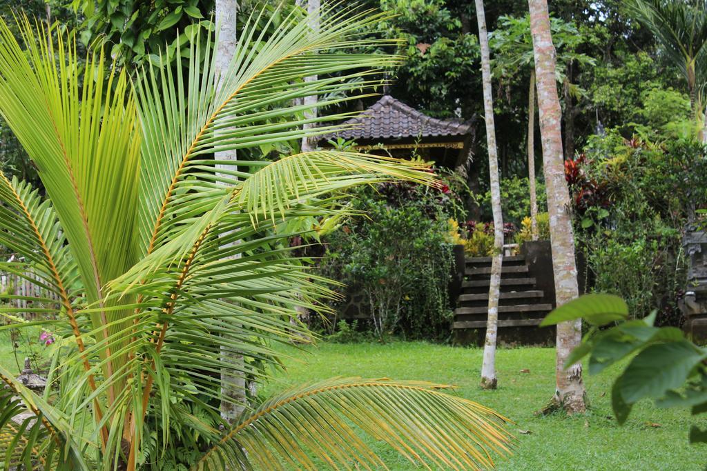 Tegal Jero Homestay Jatiluwih Bagian luar foto