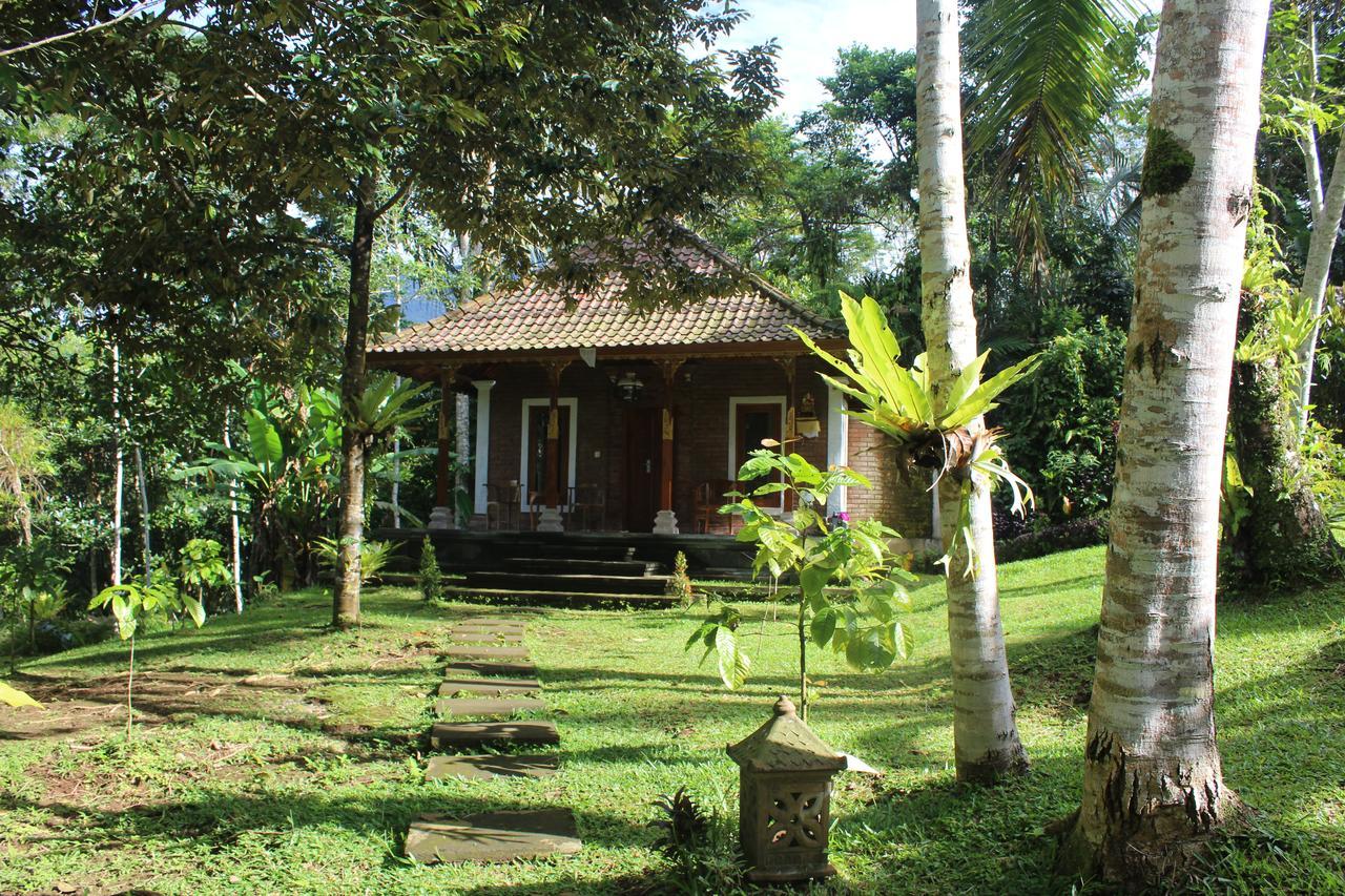 Tegal Jero Homestay Jatiluwih Bagian luar foto
