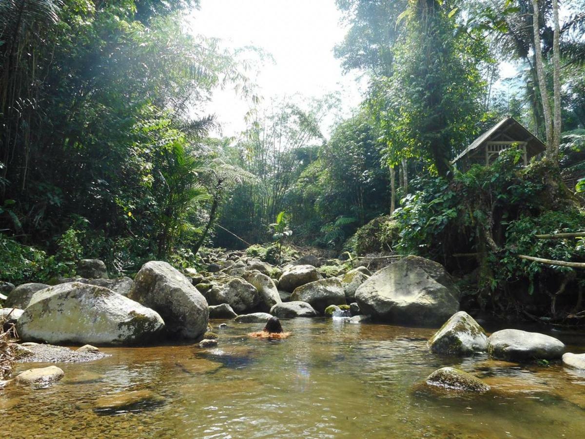 Tegal Jero Homestay Jatiluwih Bagian luar foto