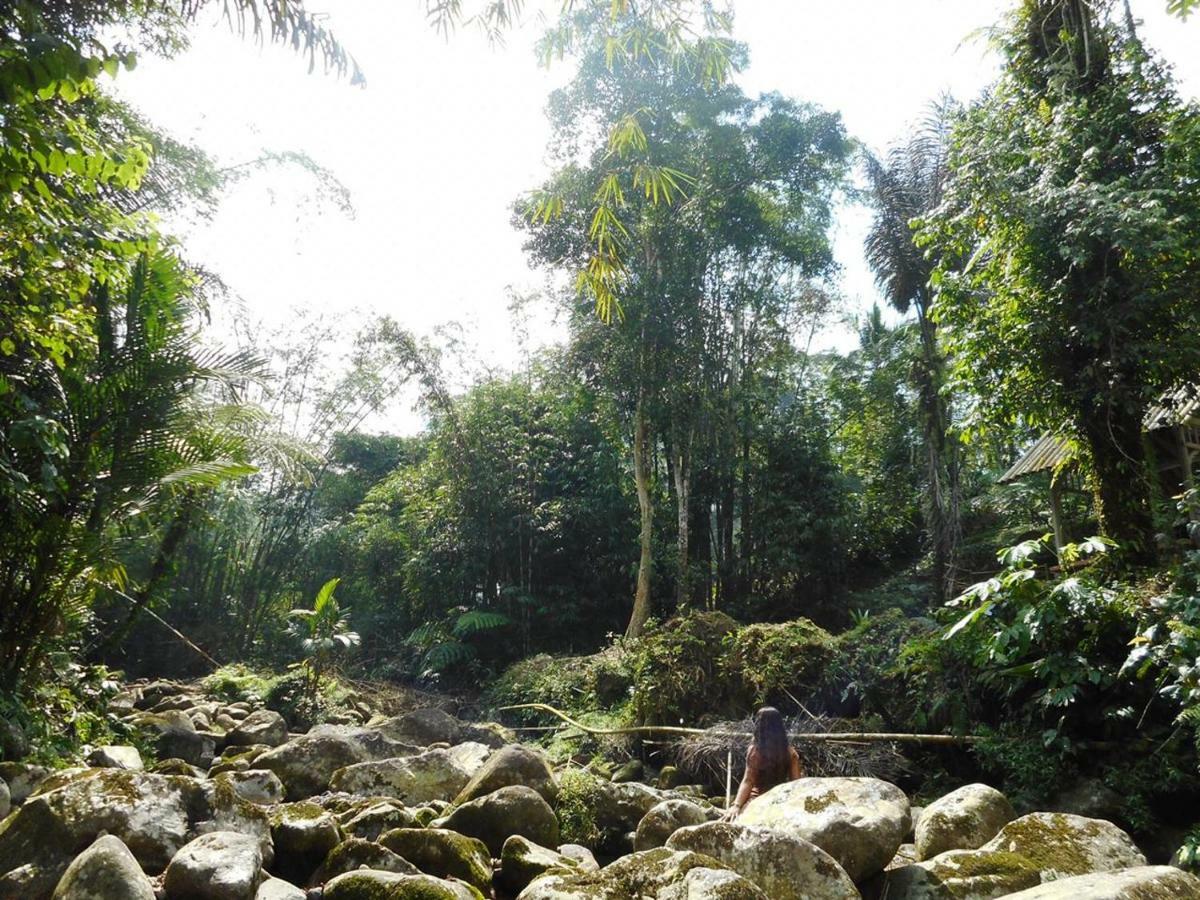 Tegal Jero Homestay Jatiluwih Bagian luar foto
