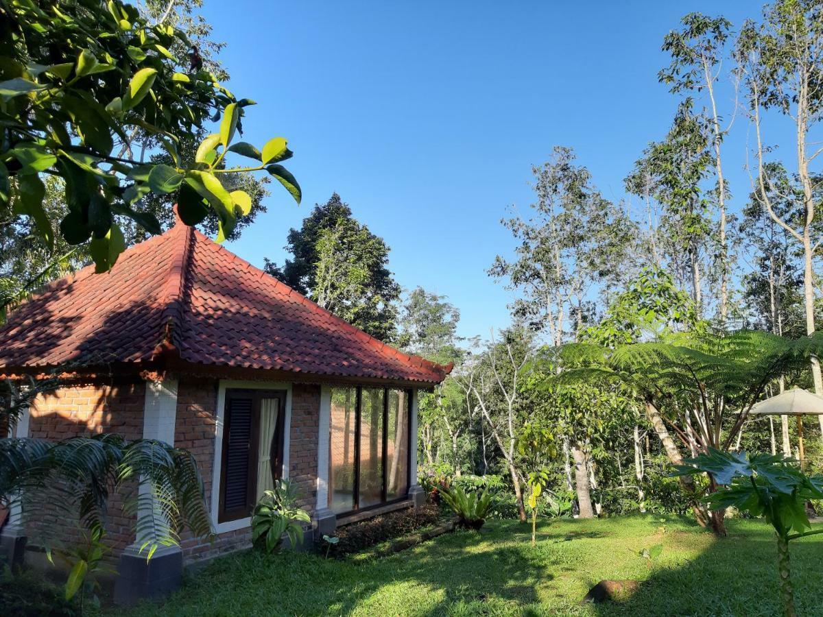 Tegal Jero Homestay Jatiluwih Bagian luar foto